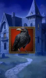 Jack O'Wild