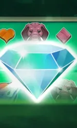 Diamond of Jungle